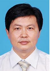 陈正华